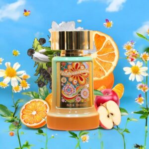 paris corner indomitable Eau de perfum 100ml